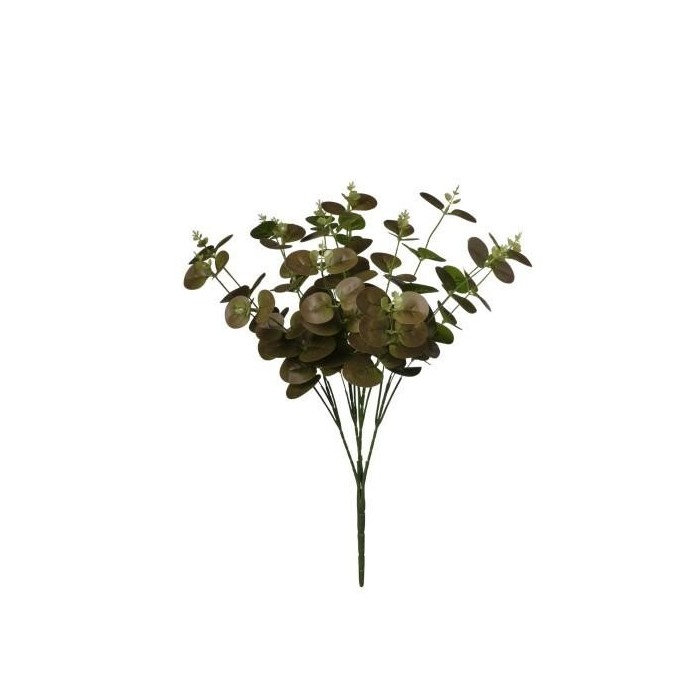 MAZZO EUCALIPTO CM50 BROWN